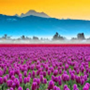 Meet your Posher, Becky